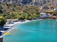 Arginonta image
