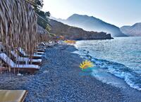 Καλαμιές image