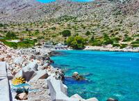 Kania image