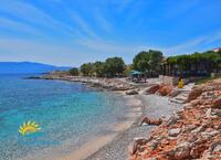 Ftenagia image