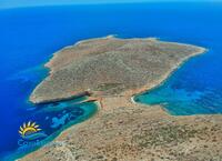 Trachia image