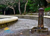 Fountain of Eleousa image