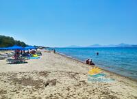 Τιγκάκι image